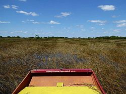 Everglades - grassland airboat tour