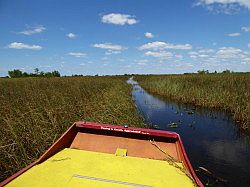 Everglades - grassland airboat tour