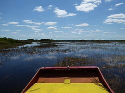 Everglades - grassland airboat tour