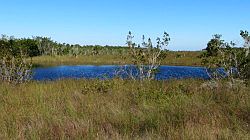 Everglades National Park