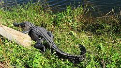 Everglades National Park