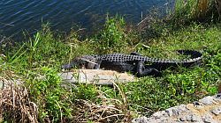 Everglades National Park