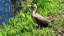 Everglades National Park