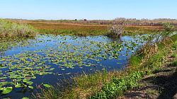 Everglades National Park