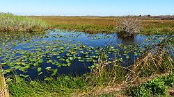 Everglades National Park