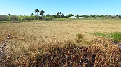 Everglades National Park