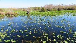 Everglades National Park