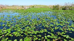 Everglades National Park