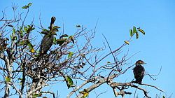 Everglades National Park