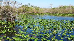 Everglades National Park