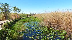 Everglades National Park