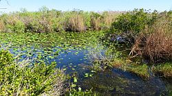 Everglades National Park