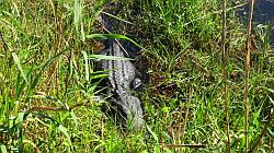 Everglades National Park