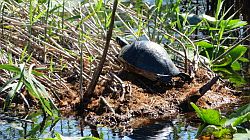 Everglades National Park