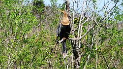 Everglades National Park