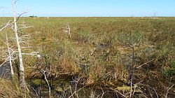 Everglades National Park