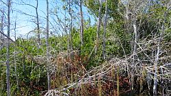 Everglades National Park