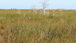 Everglades National Park