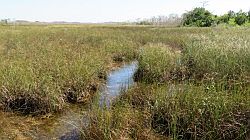 Everglades National Park