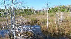 Everglades National Park