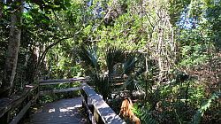 Everglades National Park