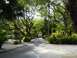 Key Largo