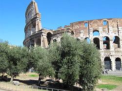 Rome - Colosseum