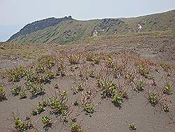 Aso - de vulkaan Mount Aso; 'vulkaanwoestijn'