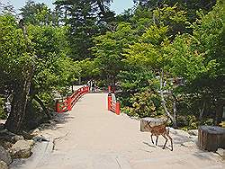 Miyajima - het park