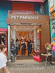 Harajuku - dierenwinkel met veel kleren voor de hond