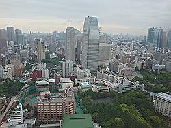 Minato - Tokyo tower; uitzicht vanaf het eerste observatiedek