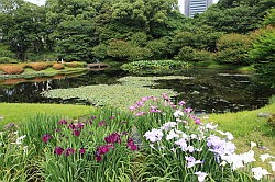 Tokio - keizerlijk paleis; de oostelijke tuinen