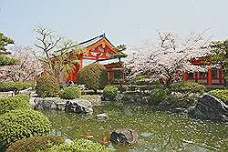 Kyoto - de Sanjusangendo tempel; mooie tuinen