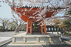 Kyoto - de Sanjusangendo tempel; de klok