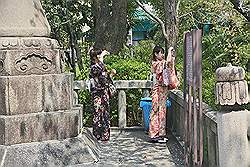 Kyoto - dames in kimono fotograferen de bloesem
