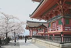 Kyoto - Kiyomizu-dera tempel