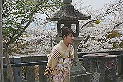 Kyoto - Kiyomizu-dera tempel; veel mensen in traditionele klederdracht