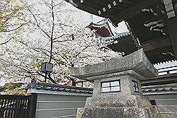 Kyoto - vele kleinere tempels