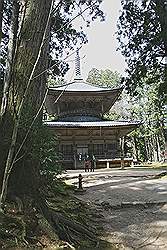 Koyasan - de Saito; een pagode van 27 meter hoog