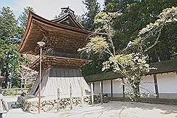 Koyasan - de Kongobuji tempel; pagode