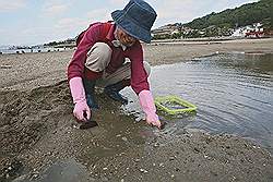 Miyajima - strand, vrouw zoekt naar schelpdieren