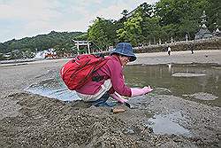Miyajima - strand, vrouw zoekt naar schelpdieren