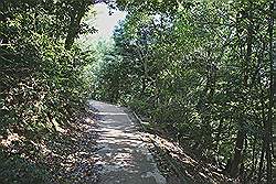 Miyajima - pad van de kabelbaan naar Mount Misen