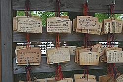 Meiji tempel - gebeden, die achtergelaten zijn door gelovigen (en toeristen?)