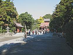 Kamakura - Tsurugaoka-Hachimangu tempel