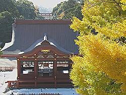 Kamakura - Tsurugaoka-Hachimangu tempel