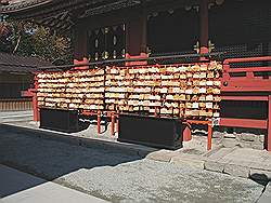 Kamakura - Tsurugaoka-Hachimangu tempel; rek met door gelovigen opgehangen bordjes met wensen