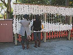 Kamakura - Tsurugaoka-Hachimangu tempel; papiertjes met een spreuk worden aan touwen geknoopt
