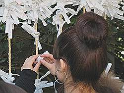 Kamakura - Tsurugaoka-Hachimangu tempel; papiertjes met een spreuk worden aan touwen geknoopt