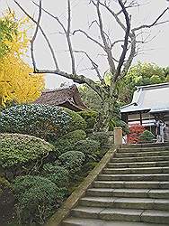 Kamakura - Hokokuji tempel